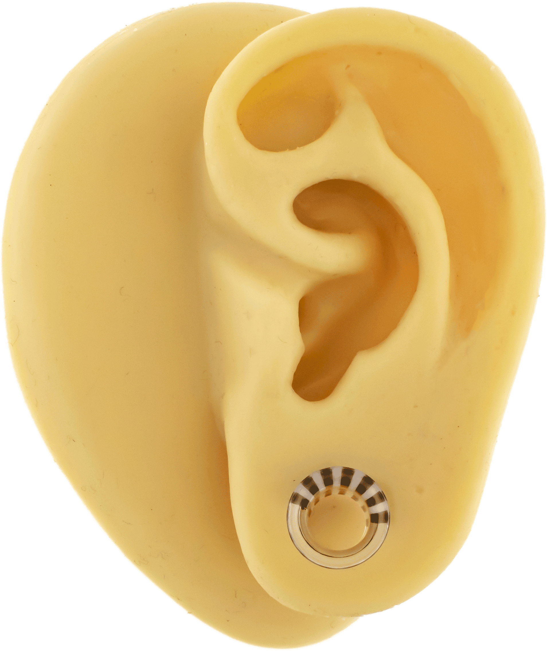 Pair Clear to Black and White Glass Single Flare Tunnels